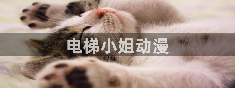 h动漫里番在线观看