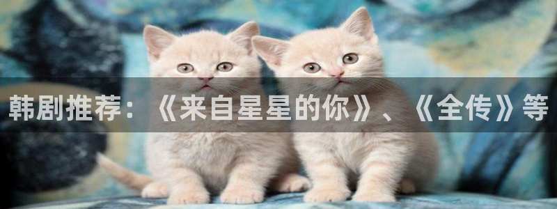 里番动漫排行榜前十名