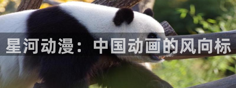 里番好看的动漫