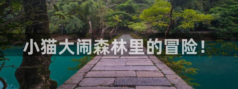 里番动漫视频在线观看