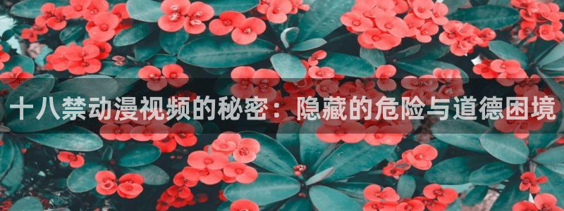 acg里番动漫