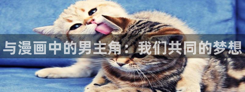 动漫里番在线免费观看