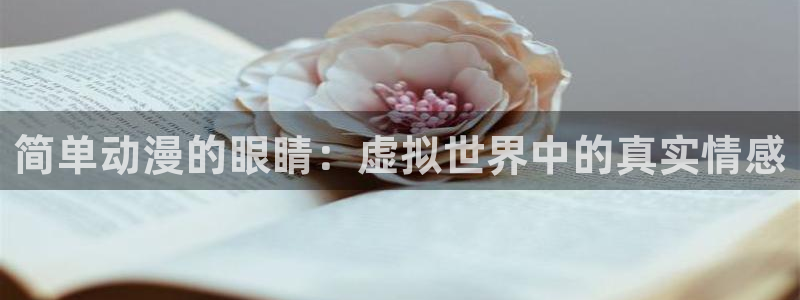 看里番动漫的网站