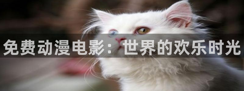 老里番动漫