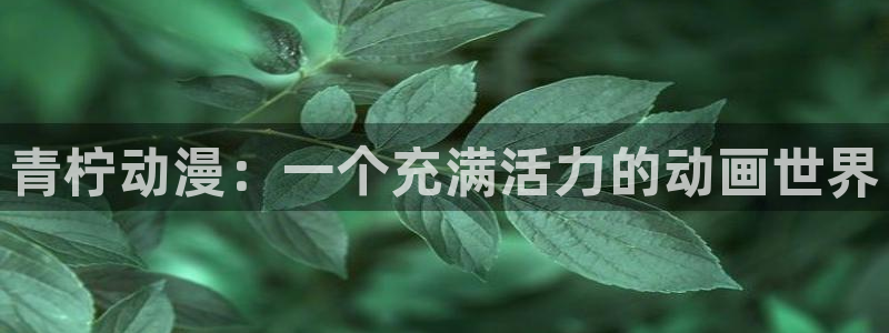 最新动漫里番推荐