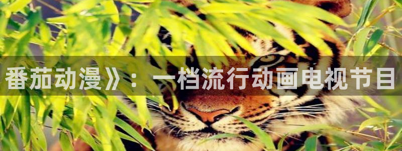 里番动画推荐