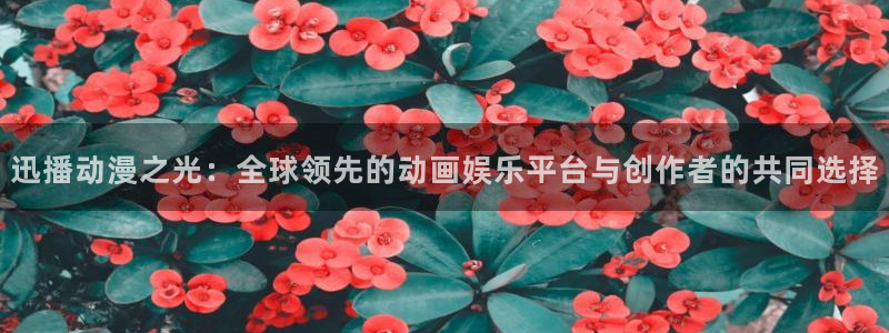 里番动画吧