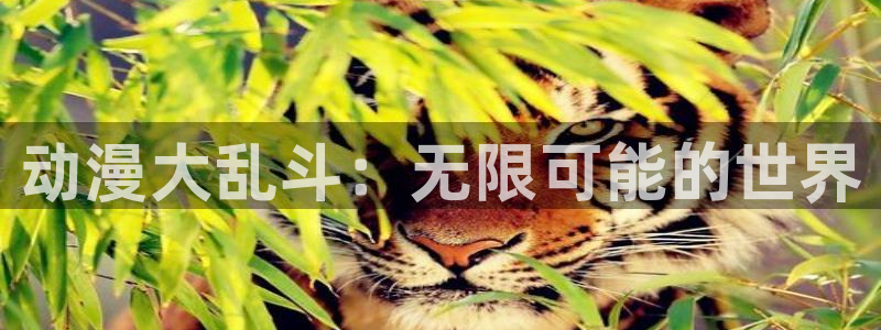 里番动漫樱花动漫