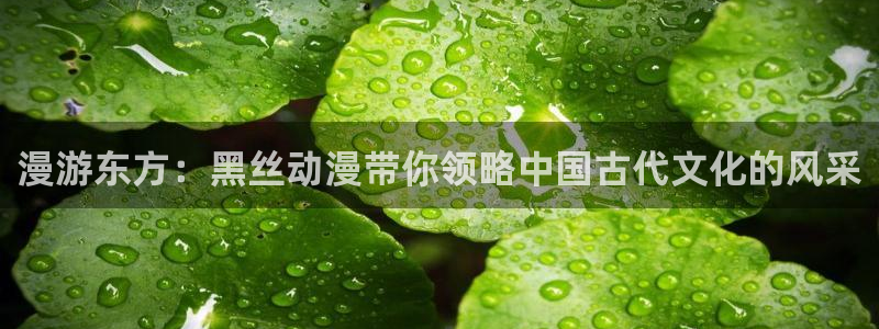 里番动漫2