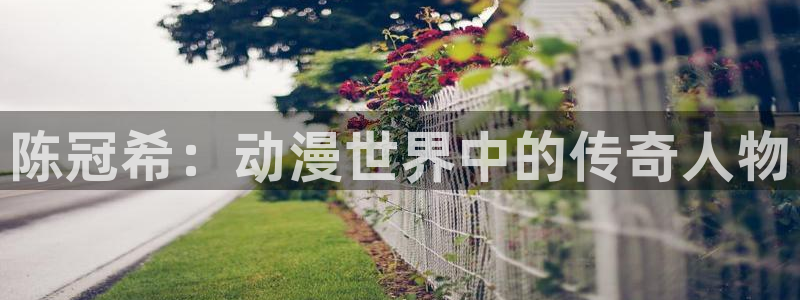 里番日本动漫：陈冠希：动漫世界中的传奇人物