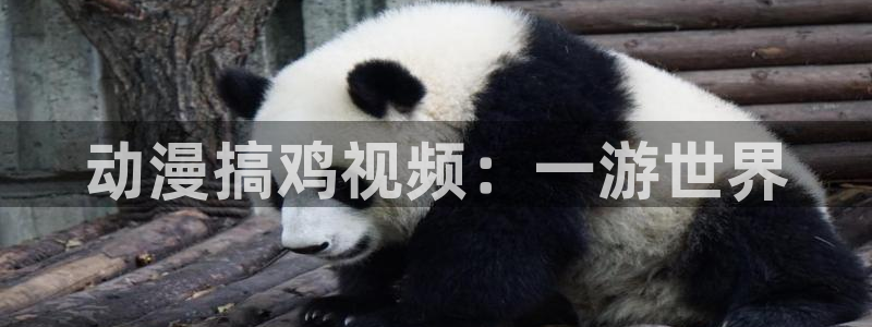 里番漫画：动漫搞鸡视频：一游世界