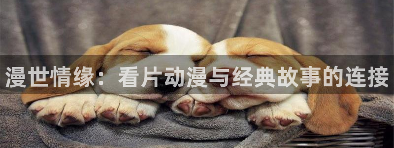 动漫里番
