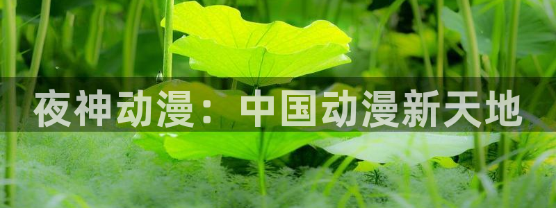 人妻里番动漫