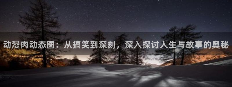 里番动漫视频