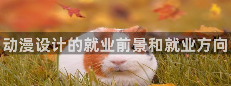 动漫里番在线播放