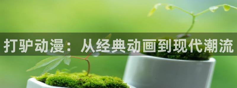 里番动漫免费网站