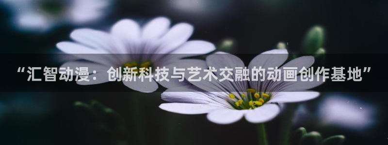 日漫里番动漫