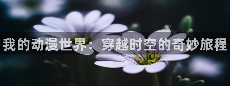 里番动画app