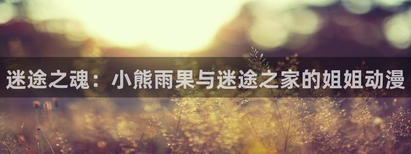 动漫里番去哪看：迷途之魂：小熊雨果与迷途之家的姐姐动漫